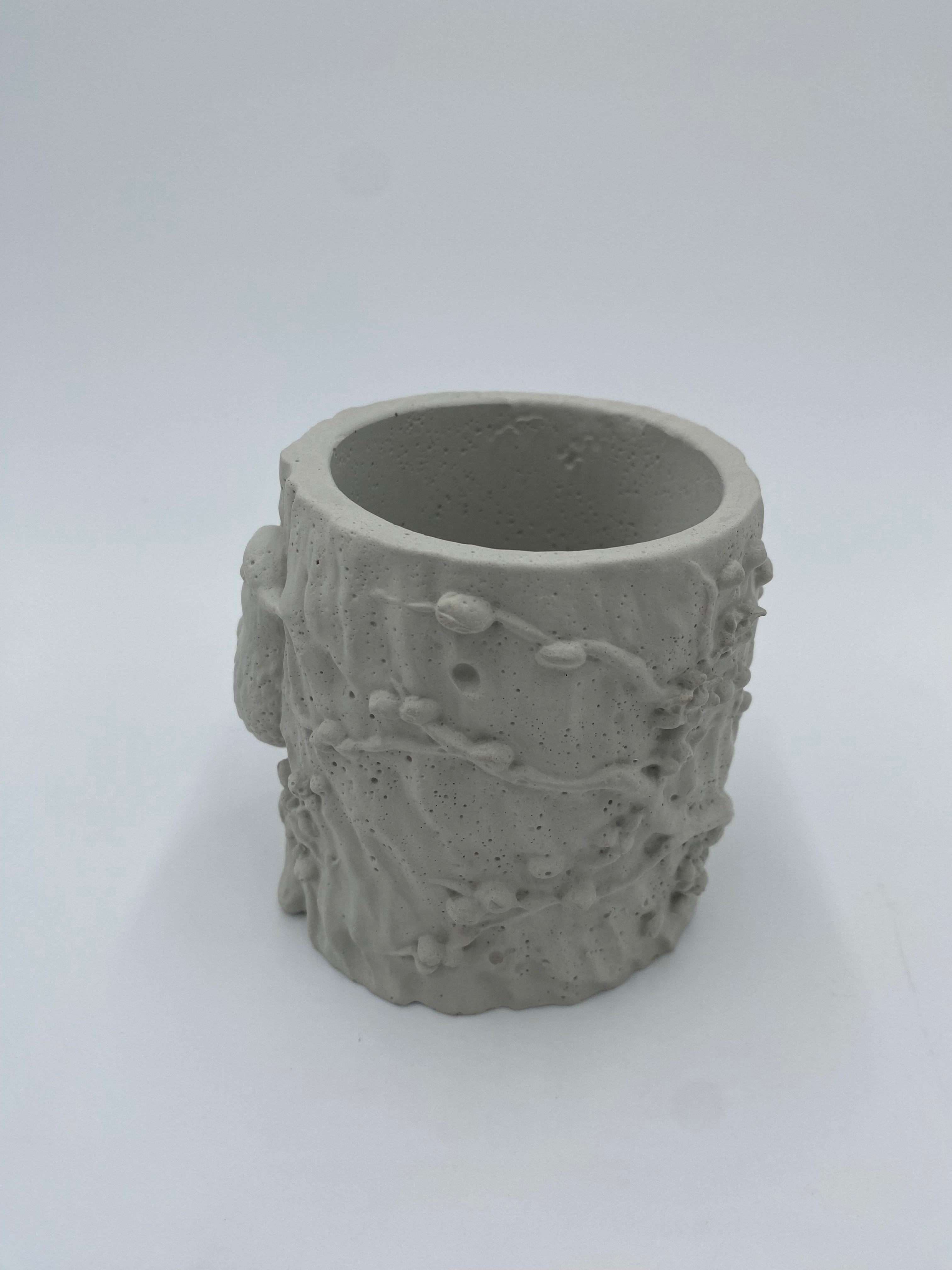 Concrete Bird Planter with Succulent