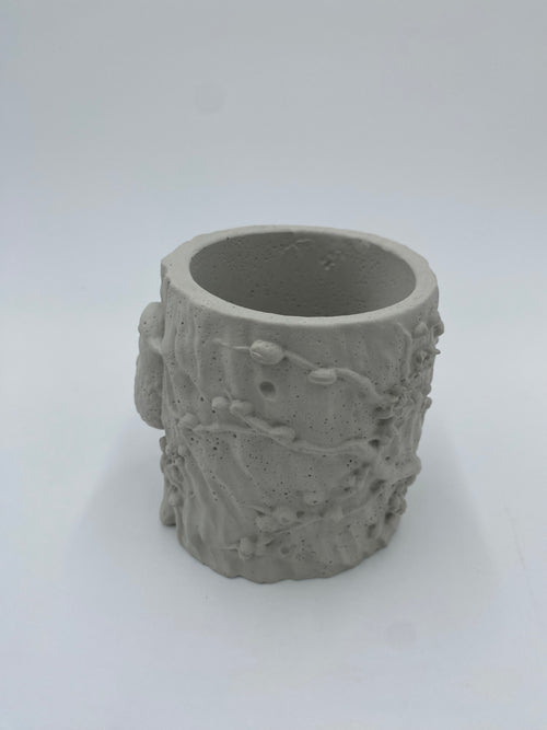 Concrete Bird Planter with Succulent