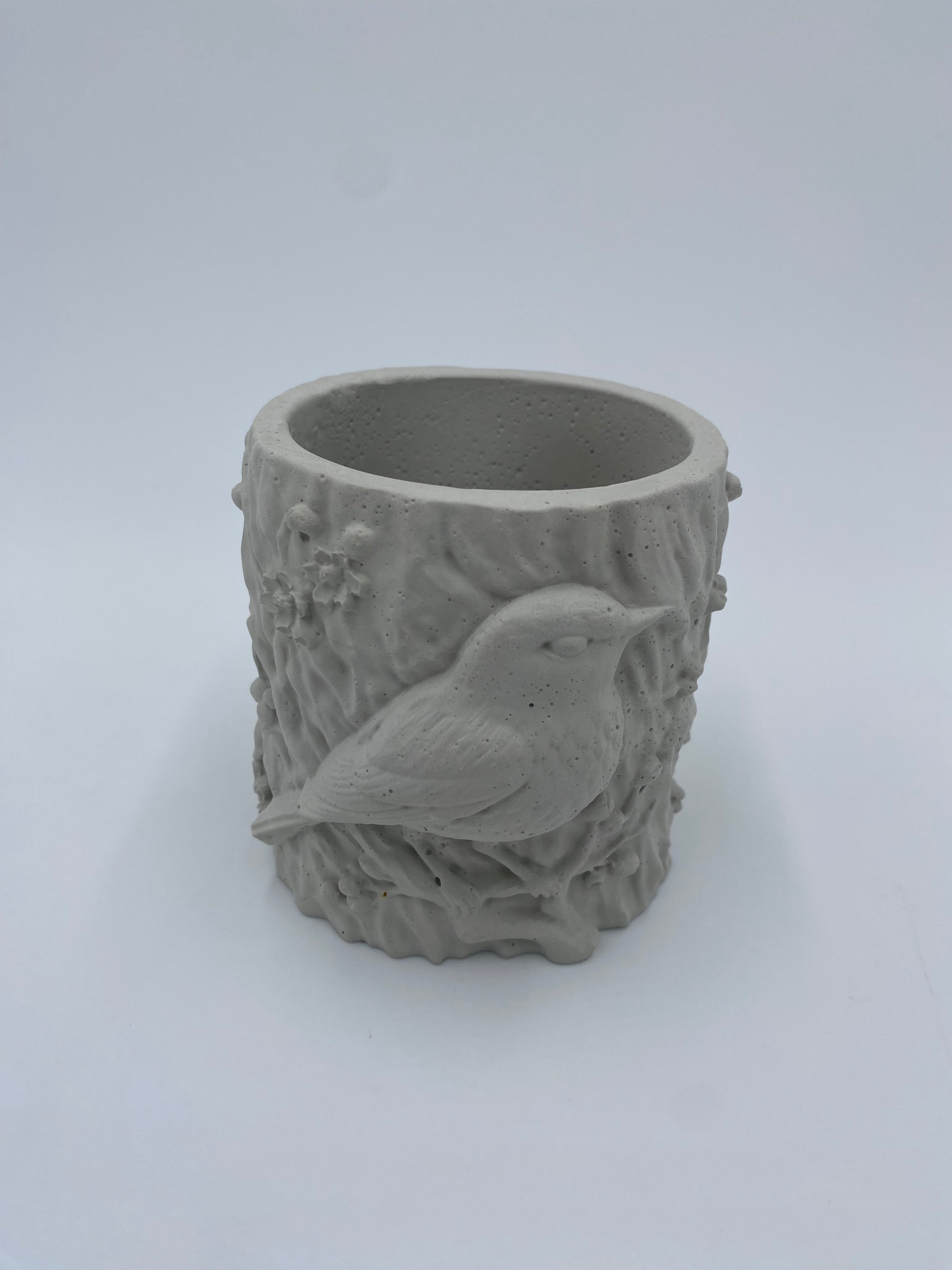 Concrete Bird Planter with Succulent