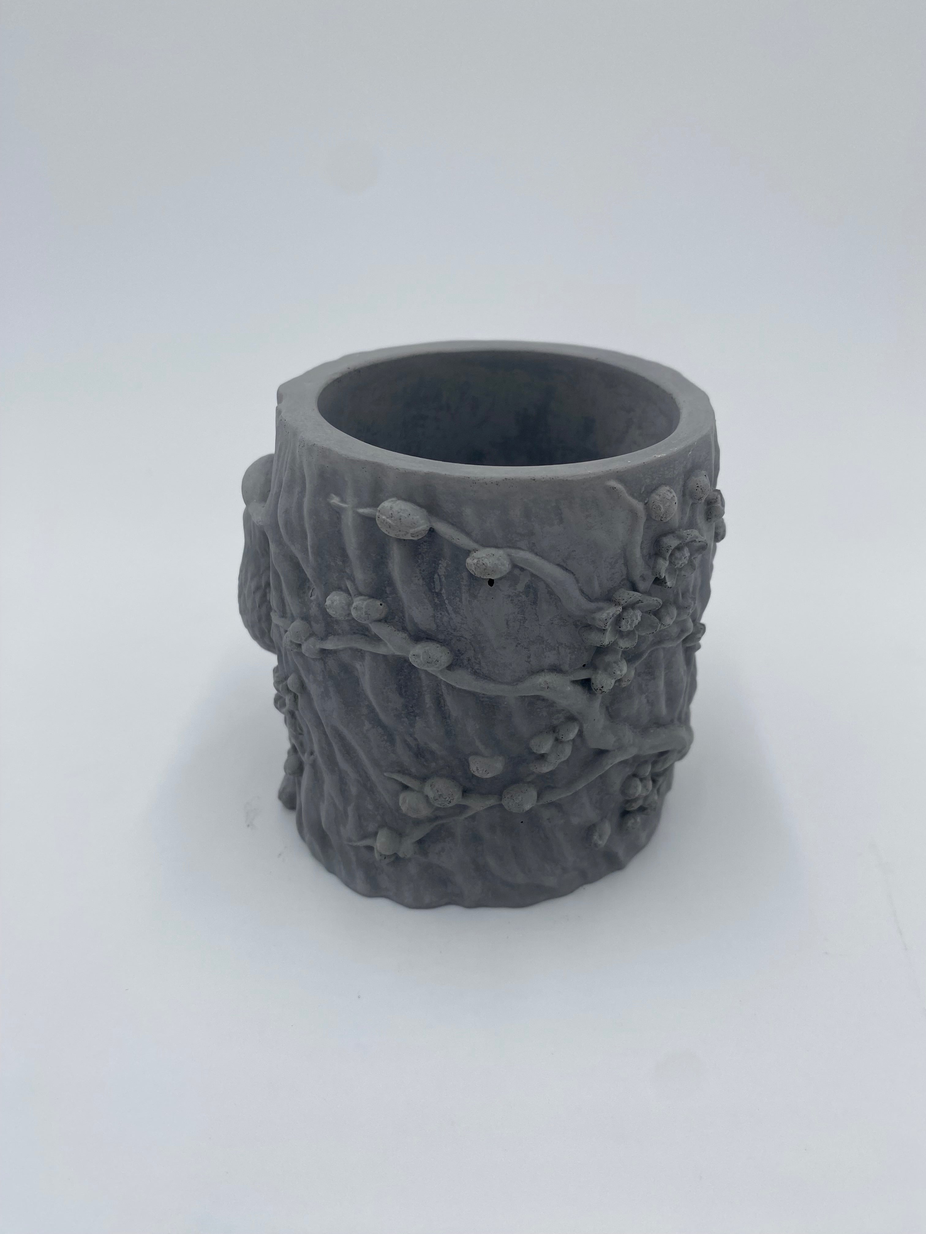 Concrete Bird Planter with Succulent