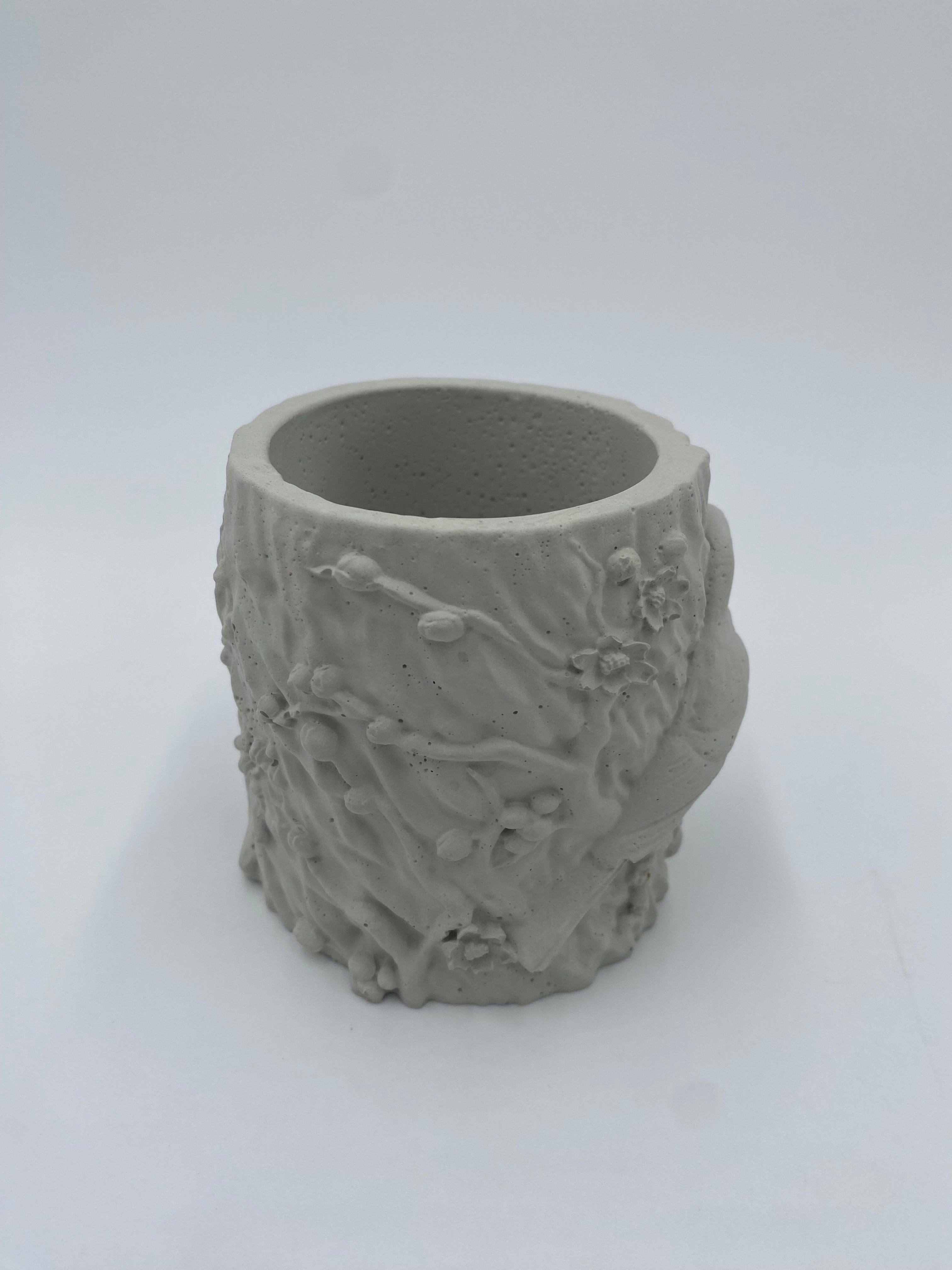 Concrete Bird Planter with Succulent