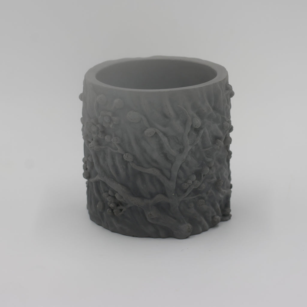 Concrete Bird Planter with Succulent