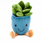 Succulent Stuffy