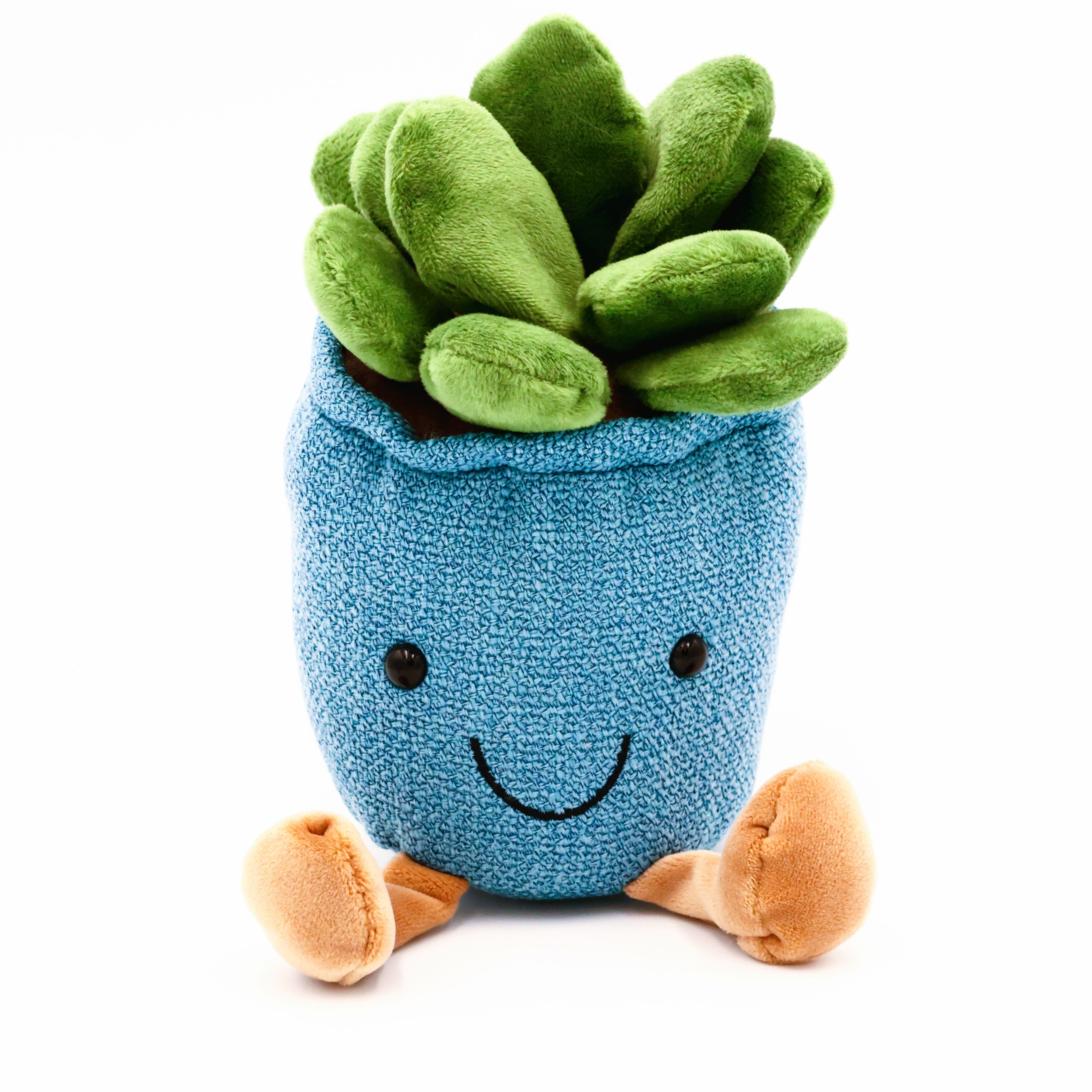 Succulent Stuffy