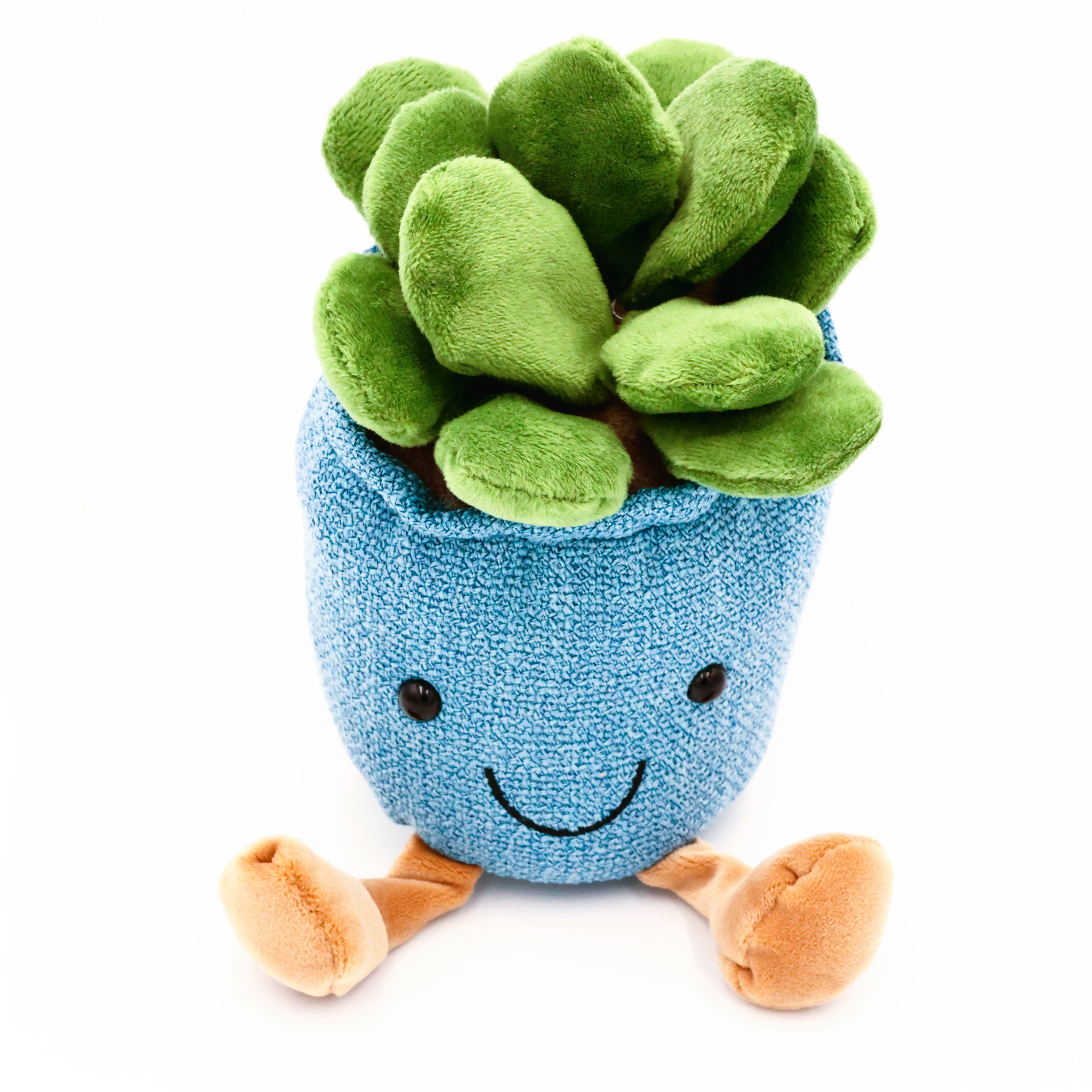 Succulent Stuffy