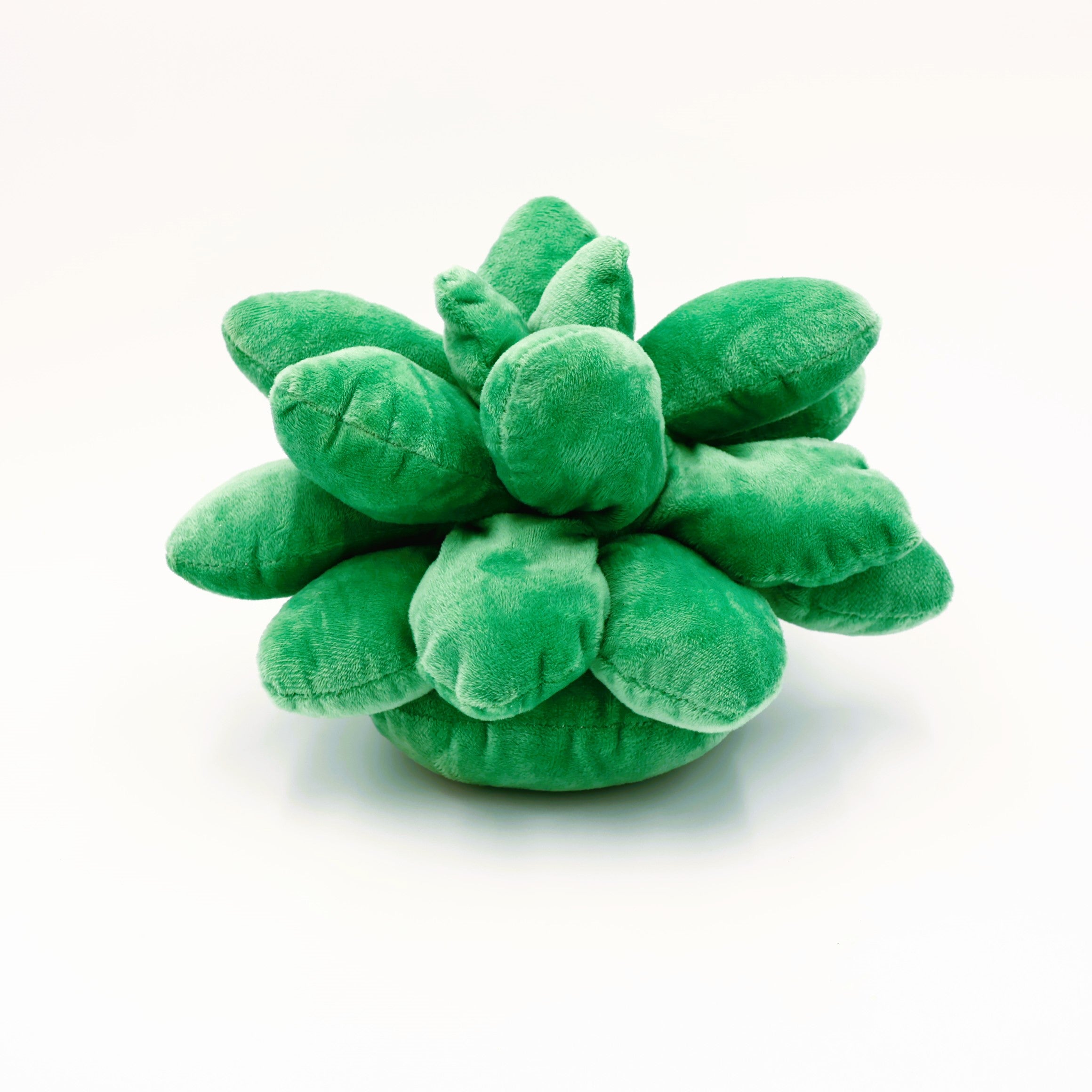 Succulent Stuffy