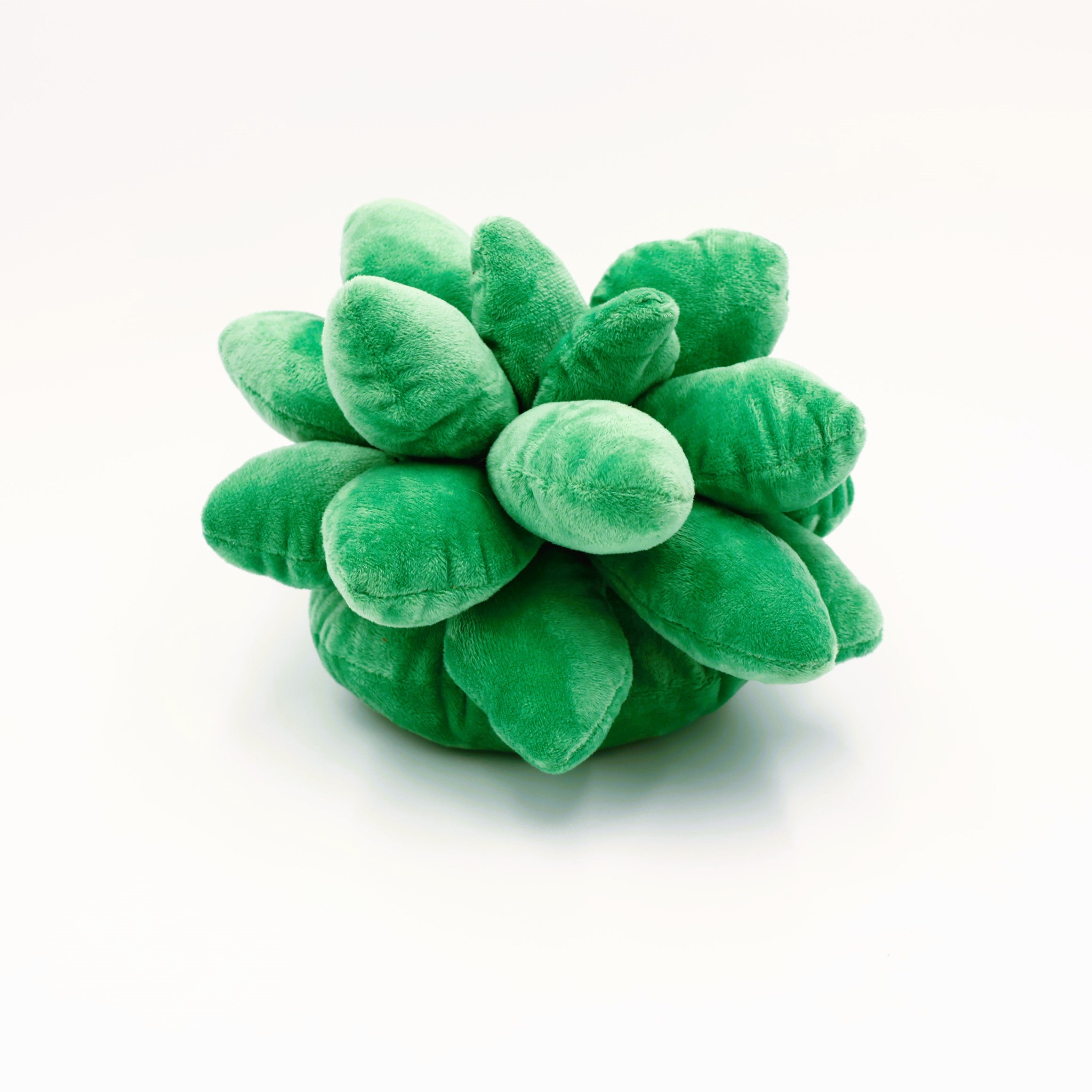 Succulent Stuffy