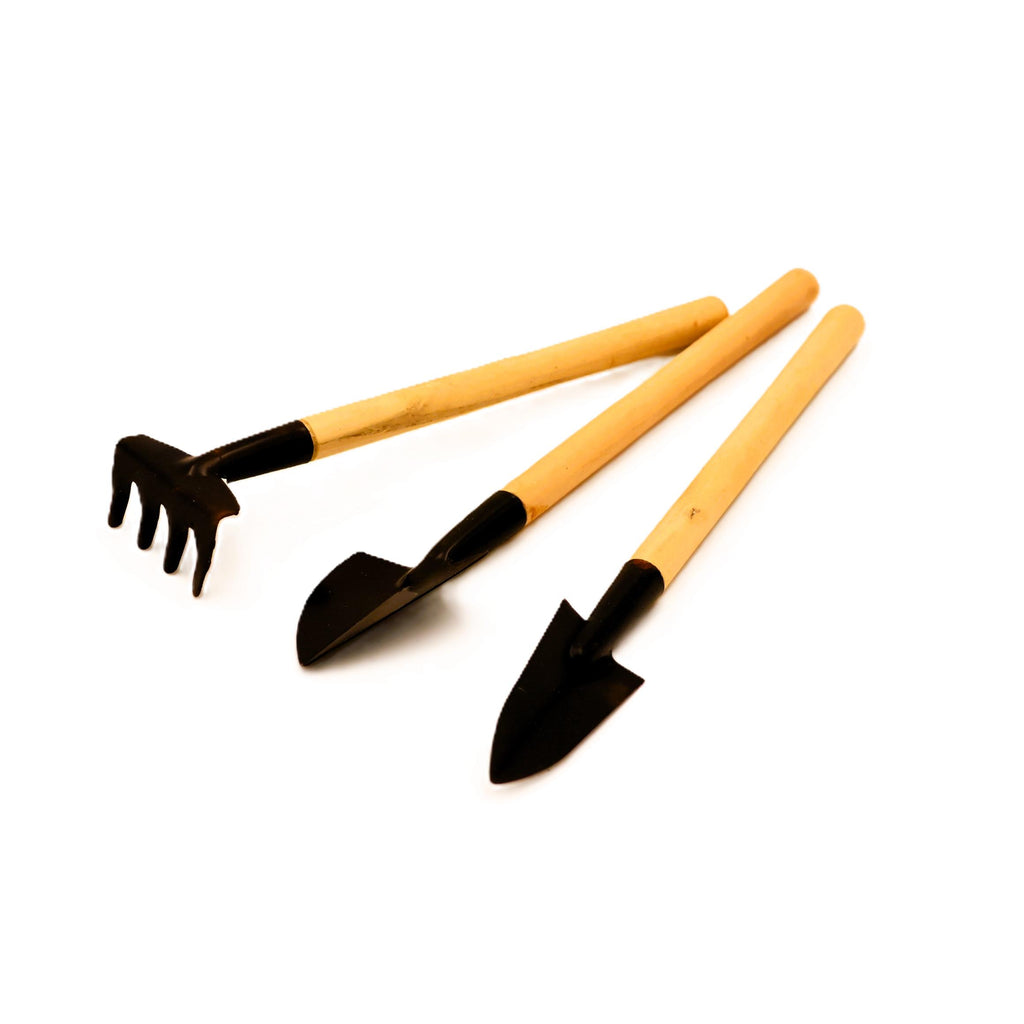 Mini Metal Garden Tool Set 3 pcs