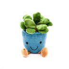 Succulent Stuffy