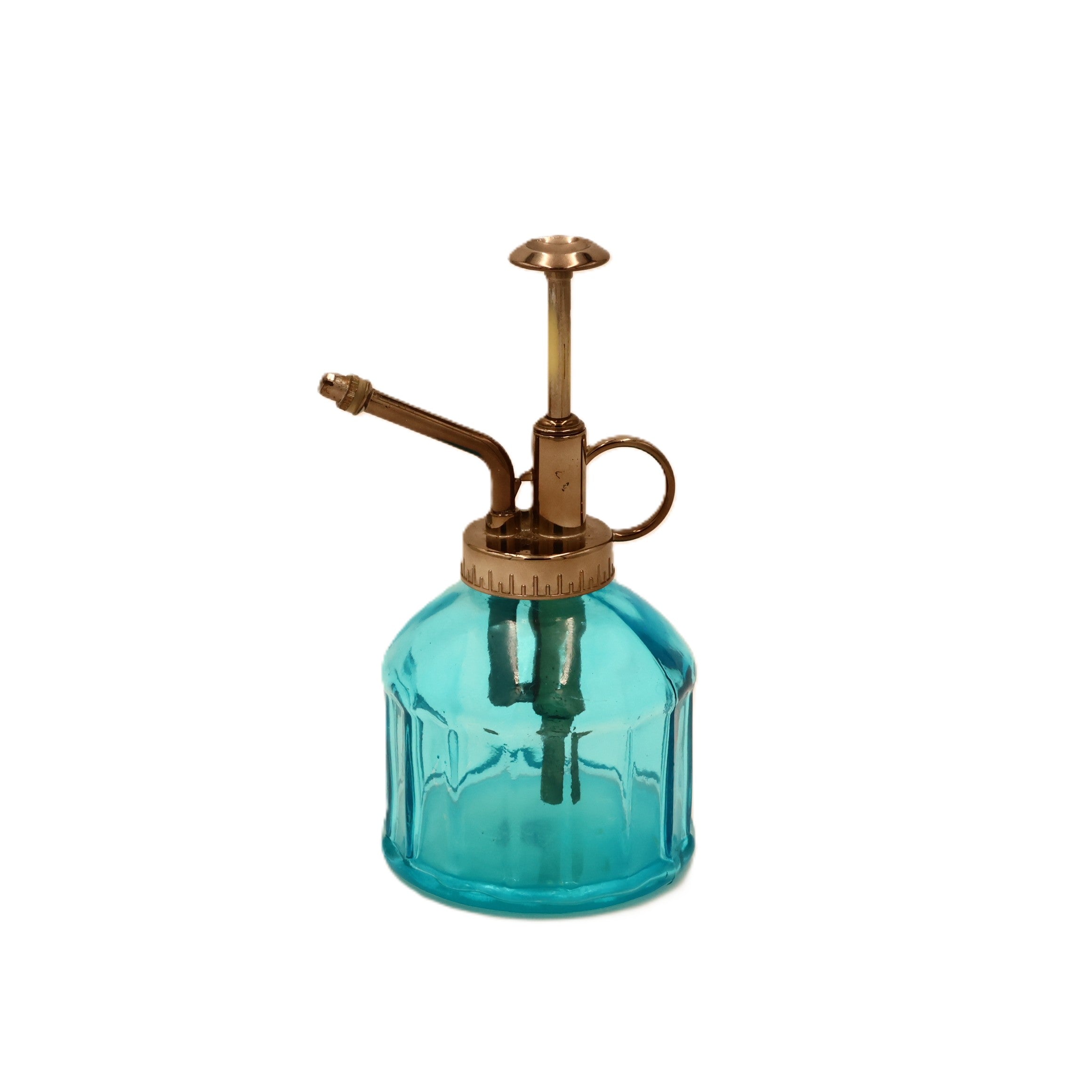 Glass Plant Mister Blue