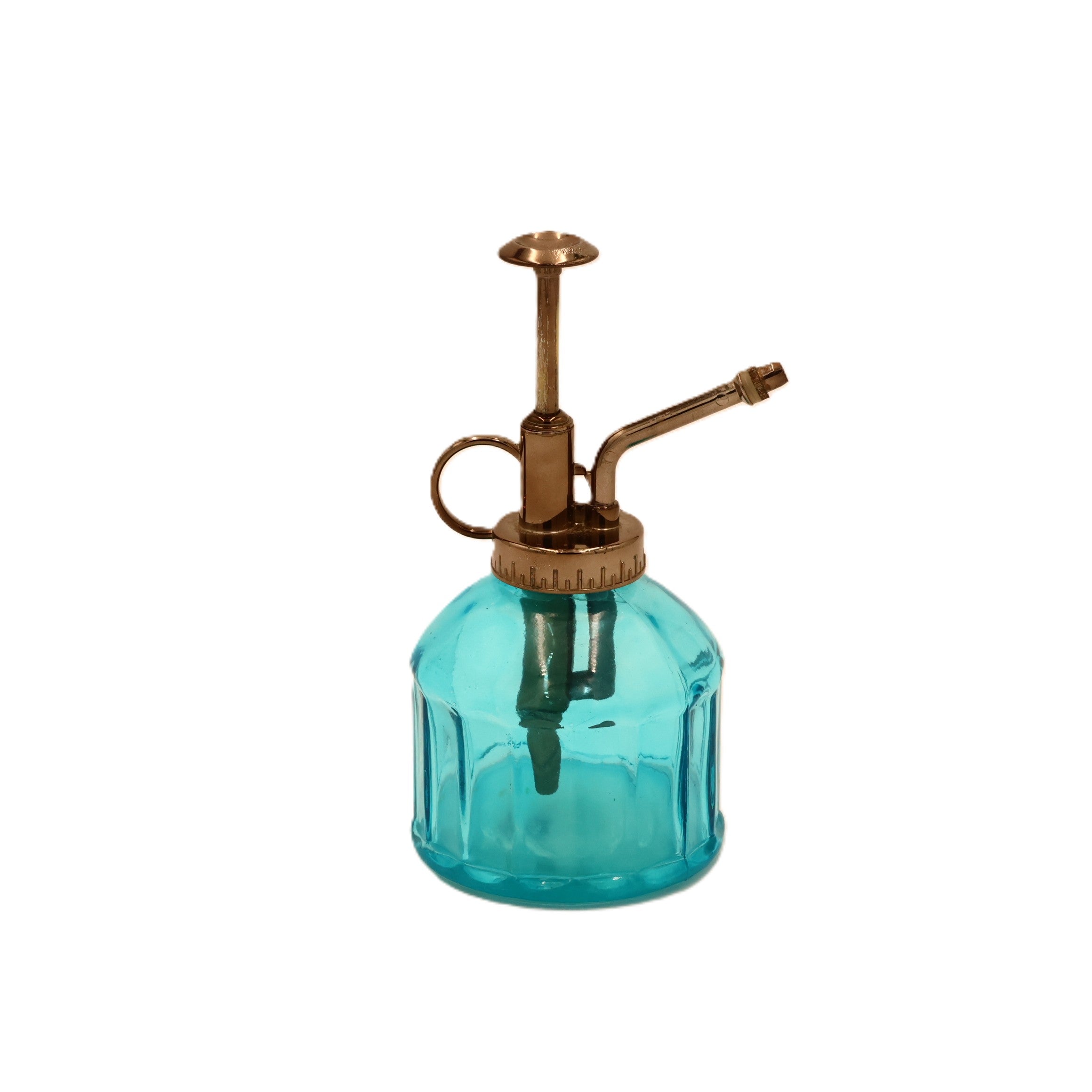 Glass Plant Mister Blue